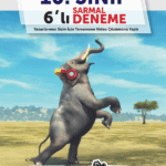 10. Sınıf 6'lı Sarmal Deneme soru bankası