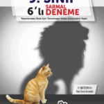 Kafa Dengi Deneme Kapak 9 sinif soru bankası